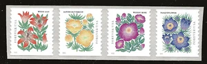 US Scott #5672-75, tira de 4 2022 flores en muy buen estado sin montar o nunca montada - Imagen 1 de 1