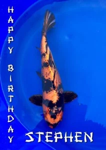 BIGLIETTO AUGURI KOI CARP FISH COMPLEANNO QUALSIASI OCCASIONE PERSONALIZZATO - Foto 1 di 9