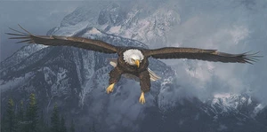 "American Icon" Daniel Smith Western Fine Art Giclee Canvas - Bald Eagle - Picture 1 of 1