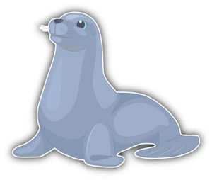 "Linda calcomanía pegatina para parachoques coche foca monje - ""TAMAÑOS""" - Imagen 1 de 1