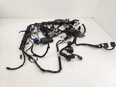 Arnés de tablero Ford F250 F350 Super Duty 2004 6,0 L diésel Foto 1 de 4