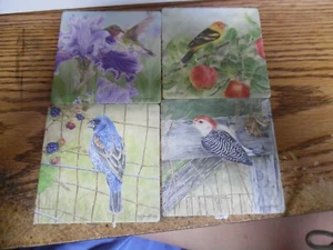 Jane Shasky set of 4 bird print double sided cardboard coasters - Picture 1 of 5