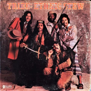 Tribe - Ethnic Stew (LP, Album) - Picture 1 of 7
