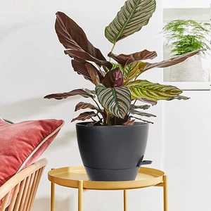 10" Self Watering Planters Plant Flower Pot DIY In/Outdoor Drainage Holes 2 Pack - Picture 1 of 7
