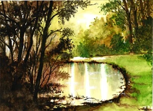 Luce del sole su uno stagno, arte forestale, arte del paesaggio, arte della luce del sole, bellissimo stagno - Foto 1 di 1