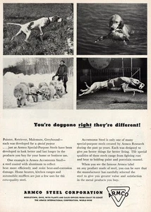 1948 Armco Steel: Doggone Right They're Different Vintage Print Ad - Picture 1 of 1