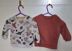 Baby Boys Dinosaur Jumpers x2 3-6 Months - Picture 1 of 1
