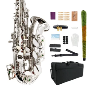 Silver Alto Sax with Case, Mouthpiece,Straps, Reeds Saxophone Beginners Kit  - Picture 1 of 22