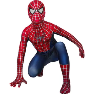 Spider-Man Tobey Maguire Costume Kids Boys Cosplay Jumpsuit + Mask - Picture 1 of 13