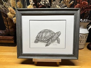 Disegno di una tartaruga tartaruga grafite matita arte schizzo quadro stampa - Foto 1 di 16