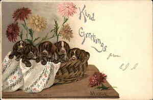 Anna Mailick - Puppy Dogs dans panier et fleurs c1905 carte postale
