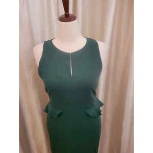 Ann Taylor Petite grün Schößchen Cocktailkleid Größe 10P. - Bild 1 von 5