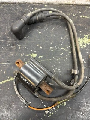 00 Conjunto de bobina de encendido OEM Yamaha Sx500r 8AB-82310-00-00 RW7131 Foto 1 de 3