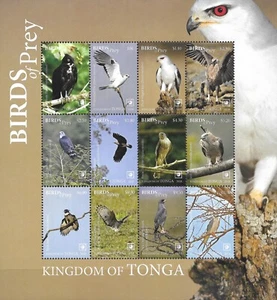 TONGA - 2018 MNH "BIRDS Of PREY" ¡Hoja de recuerdo!!!! - Imagen 1 de 1