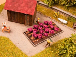 Noch 13218 Red Cabbage 16 plants HO OO - Picture 1 of 1
