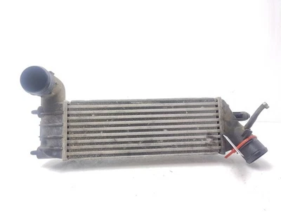 1489396080 intercooler per CITROEN C8 8883181 - Immagine 1 di 4
