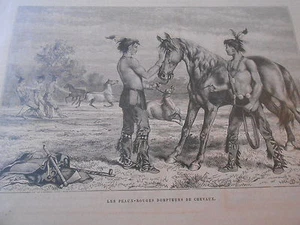 Gravure 1884 - Les Peaux Rouges Dompteurs de Chevaux - Picture 1 of 1
