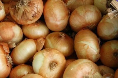 Fresh Sweet Vidalia Onions~USA GROWN*Pack of 1~2~5~10~15*Pound FREE SHIP NON-GMO - Image 1 of 4