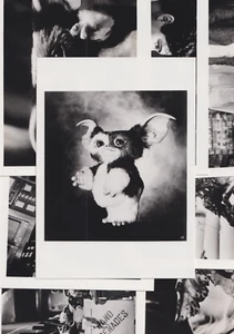 Gremlins 2 1990 Vintage Oficial Película Película Fijas Conjunto de 9 Fotografías - Imagen 1 de 10