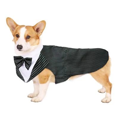 Large Black Stripe Dog Tuxedo & Bandana Set Wedding Suit for Formal Events Foto 1 de 4