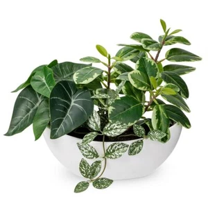 Fake Plants 11.8" Artificial Potted Plant Assorted Faux Plants in Pot Silk Pl... - Picture 1 of 7