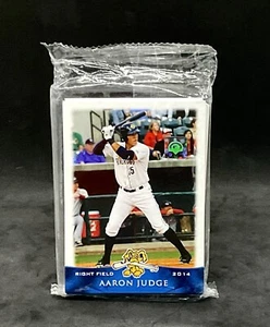 2014 Grandstand Charleston Riverdogs Factory Sealed Minor League Set~Aaron Judge - Picture 1 of 2