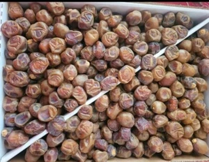 BROWN BARHI DATES 10 POUNDS PER BOX SEASON 2024 - Picture 1 of 1