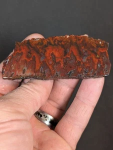 Idaho Wildfire Jasper Slab (Lone Juniper 1 claim) - Picture 1 of 7