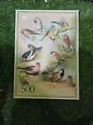 Vintage McMillan&#39;s School Posters Nature Class Pictures Birds Animals 1950s