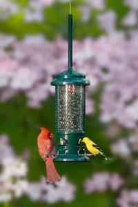 Brome Squirrel Buster Standard Bird Feeder 1057 Squirrel Proof - Picture 1 of 5