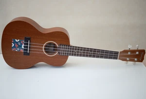 Cordoba Protege Concert Ukulele w/ Carry Case , Good Condition - Picture 1 of 4