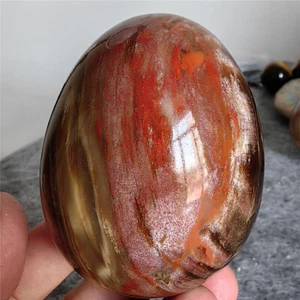 277g Top natürliches versteinertes Holz Kristall poliert Ei Madagaskar F338 - Bild 1 von 12