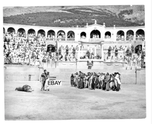 THE LAST DAYS OF POMPEII 1959 ORIGINAL ITALIAN MOVIE PHOTO STEVE REEVES - Picture 1 of 1
