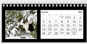 Rescue Pet Desk Calendar 2025 Adorable Pets Cat Dog Charity Sale Office Gift - Picture 1 of 5