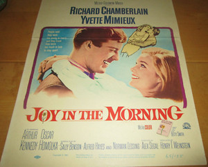 Richard Chamberlain Yvette Mimieux "Joy in the Morning" Window Card 22 x 14 1965