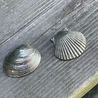 2 small 1.5" Scallop & Clam Cast Pewter w Believe in Miracles Enjoy the Moment