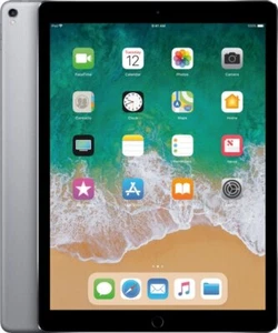 Apple iPad Pro 2nd Gen, 12.9", 256GB, WIFI + Unlocked All Carriers - Space Gray - Picture 1 of 1