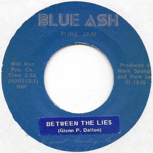 PURE JAM Between The Lies on Blue Ash private Ohio rock 45 HEAR - Picture 1 of 2
