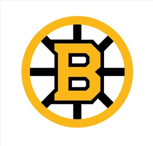 Boston Bruins NHL Weather Resistant Vinyl Die Cut Sticker Decal 02 - Picture 1 of 1