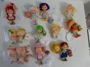 25 Strawberry Shortcake Dolls lot Pets Clothing Shoes see all pictures - Picture 1 of 11