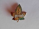 Pin Badge Canada Canadian Sheet State symbol damaged for repair - see photo !
