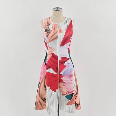 Vestido de buceo floral Clover Canyon para mujer talla XS estampado abstracto sin mangas cremallera Foto 1 de 4