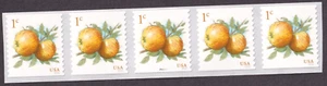 Scott #5037 Apples Plate # Coil (PNC) of 5 Stamps - MNH - Picture 1 of 1