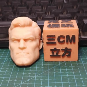 1/6 1/12 1/18 1/24 Unpainted Serene Male Soldier Head Sculpture For Figures - Picture 1 of 4