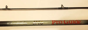 CABELAS Pro Guide IM6 Salmon Steelhead 9' BOBBER Spinning Rod (10-20lb, 1/2-2oz) - Picture 1 of 14