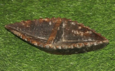 Antiguo tazón de especias/comedor tribal con forma de barco tallado a mano de madera de la década de 1860 8587 Foto 1 de 4