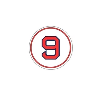 1954 Style Ted Williams Red Sox Multi Layer Color Vinyl Decal Sticker, 1x1 Inch! - Picture 1 of 1