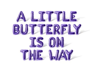 A LITTLE BUTTERFLY IS ON THE WAY Letra Globo Banner - Decoración Fiesta Baby Shower Foto 1 de 4