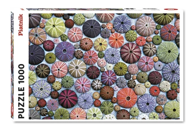 Пазл морские ежи разноцветный 66x50 см 1000 шт. первоклассный картонный вызов - Изображение 1 из 4