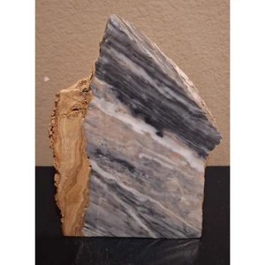 Hermosa decoración de madera petrificada y ágata - Imagen 1 de 6